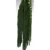 AMARANTHUS HANGING PRESERVED Dark Green
